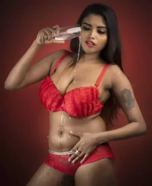 High Profile Call Girls Model Escort Service